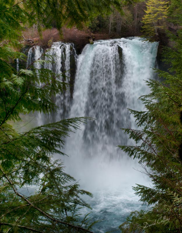 Also known as Middle Falls of the three major falls on the McKenzie River.